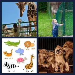 4 Images 1 Mot ZOO