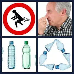 4 Images 1 Mot PET