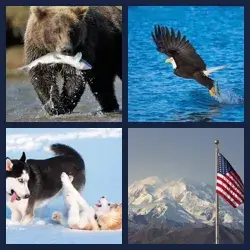 4 Images 1 Mot ALASKA