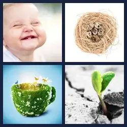 4 Images 1 Mot VIE
