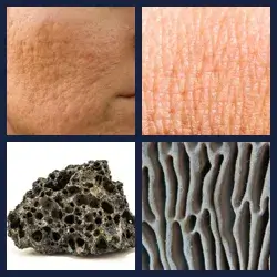 4 Images 1 Mot PORES