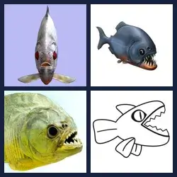 4 Images 1 Mot PIRANHA