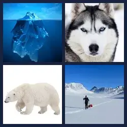 4 Images 1 Mot ARCTIQUE