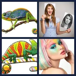 4 Images 1 Mot CAMELEON