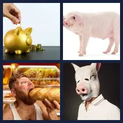 4 Images 1 Mot COCHON