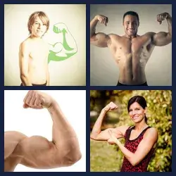 4 Images 1 Mot BICEPS