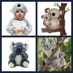 4 Images 1 Mot KOALA