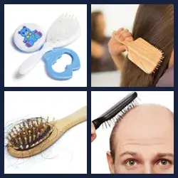 4 Images 1 Mot BROSSE