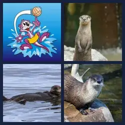 4 Images 1 Mot LOUTRE