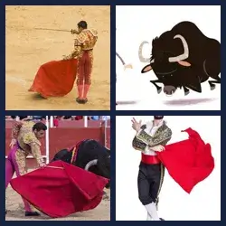 4 Images 1 Mot MATADOR