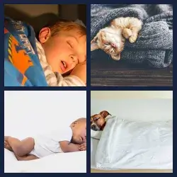 4 Images 1 Mot SOMMEIL