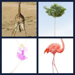 4 Images 1 Mot FIN