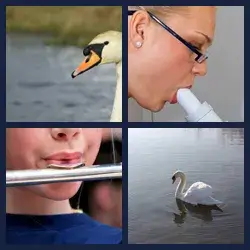 4 Images 1 Mot BEC