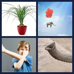 4 Images 1 Mot ELEPHANT