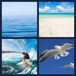 4 Images 1 Mot MER