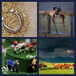 4 Images 1 Mot CHEVAUX