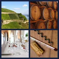 4 Images 1 Mot VIN