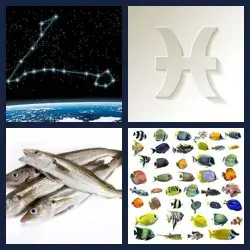 4 Images 1 Mot POISSONS