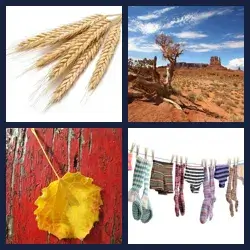 4 Images 1 Mot SEC
