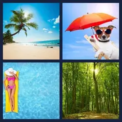 4 Images 1 Mot ETE