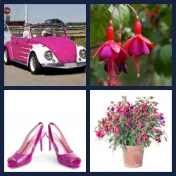 4 Images 1 Mot FUCHSIA