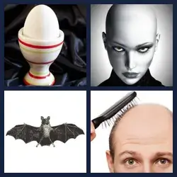 4 images 1 mot niveau 1005