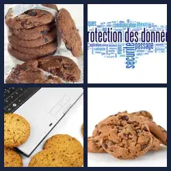 4 images 1 mot niveau 1008