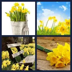 4 images 1 mot niveau 1032