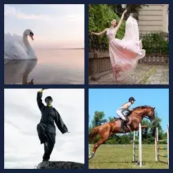 4 images 1 mot niveau 1033