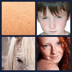 4 images 1 mot niveau 1041