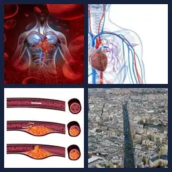 4 images 1 mot niveau 1051