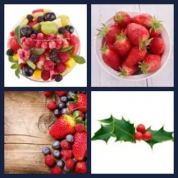 4 images 1 mot niveau 1062