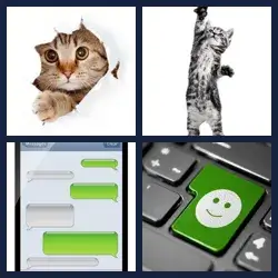 4 images 1 mot niveau 107