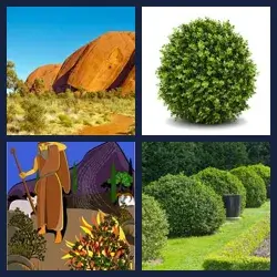 4 images 1 mot niveau 1083