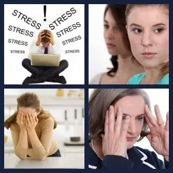 4 images 1 mot niveau 1091