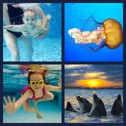 4 images 1 mot niveau 1099