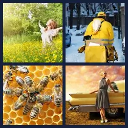 4 images 1 mot niveau 11