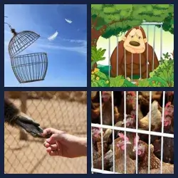 4 images 1 mot niveau 1119