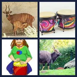 4 images 1 mot niveau 1121