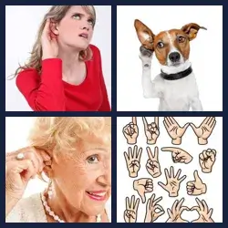 4 images 1 mot niveau 1138