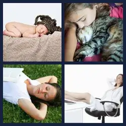 4 images 1 mot niveau 1149