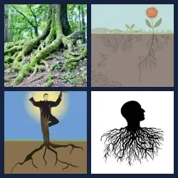 4 images 1 mot niveau 1151