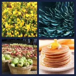 4 images 1 mot niveau 1161