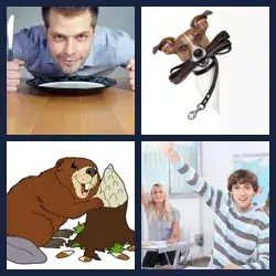 4 images 1 mot niveau 1169