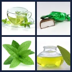 4 images 1 mot niveau 1172