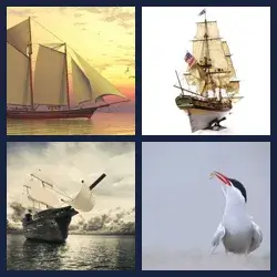 4 images 1 mot niveau 1177