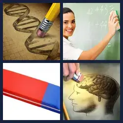 4 images 1 mot niveau 1183