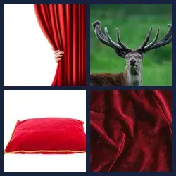 4 images 1 mot niveau 1187