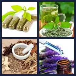 4 images 1 mot niveau 1189