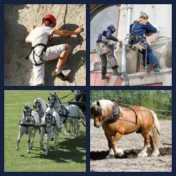 4 images 1 mot niveau 1193